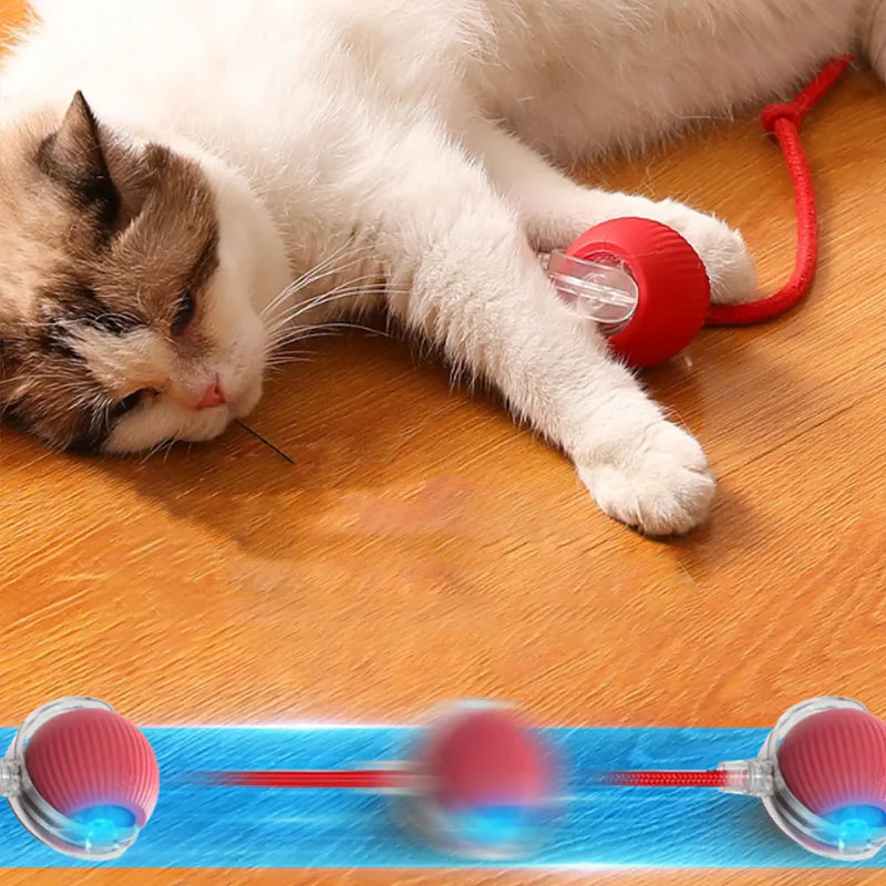 Pelota de baile para gatos