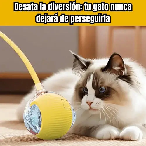 Pelota de baile para gatos