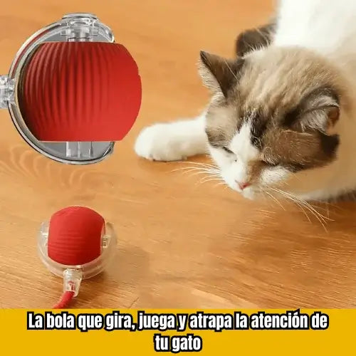 Pelota de baile para gatos